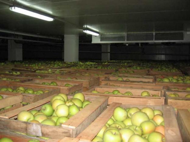 В Крыму появится фруктохранилище с сортировочным залом