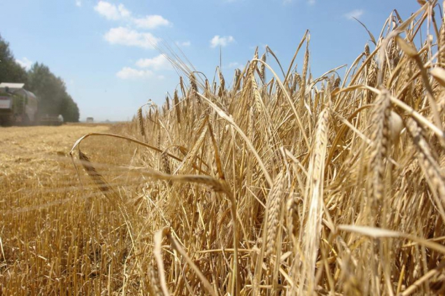 Крымские аграрии приобретут сельскохозяйственную технику в лизинг