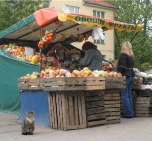 Прокуратура пока не приняла окончательного решения по поводу сноса рынка на улице Козлова