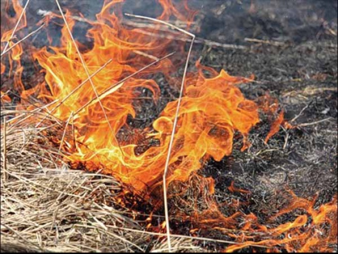 Ситуация с пожарами в Севастополе остается на среднем уровне