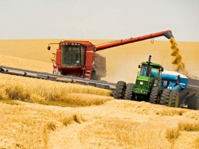 Убирать зерновые в Крыму будут украинские комбайны