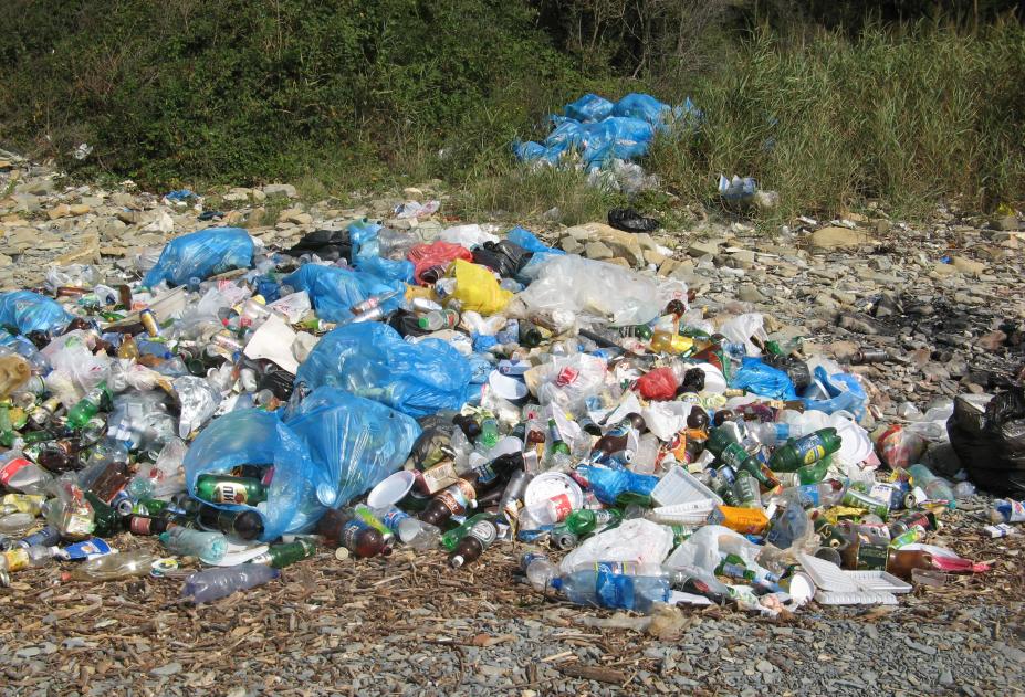 В Крыму граждан штрафуют за выброшенный в неположенных местах мусор