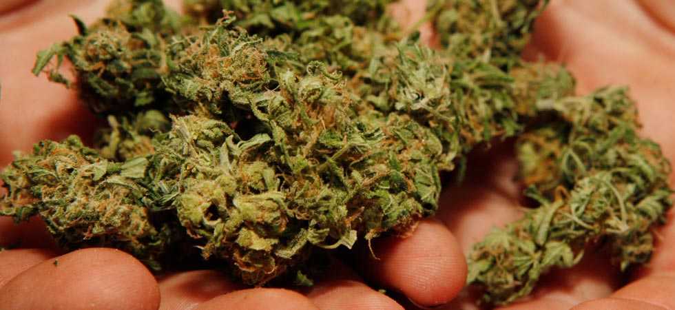 В Саках местный житель хранил марихуану