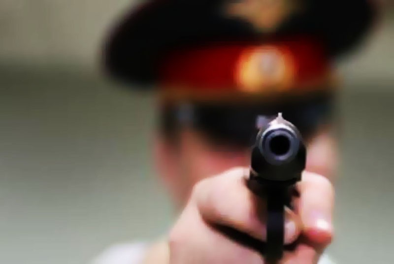 В Крыму полицейским пришлось применить оружие при задержании нетрезвого водителя