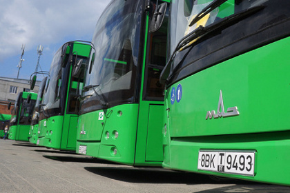 В Симферополе будут курсировать новые автобусы