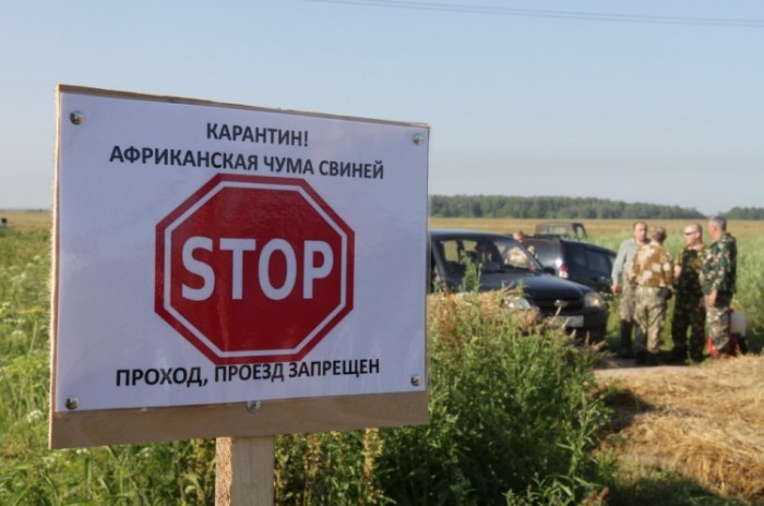 В распространении чумы в Крыму обвиняют Краснодарский край и Ростов
