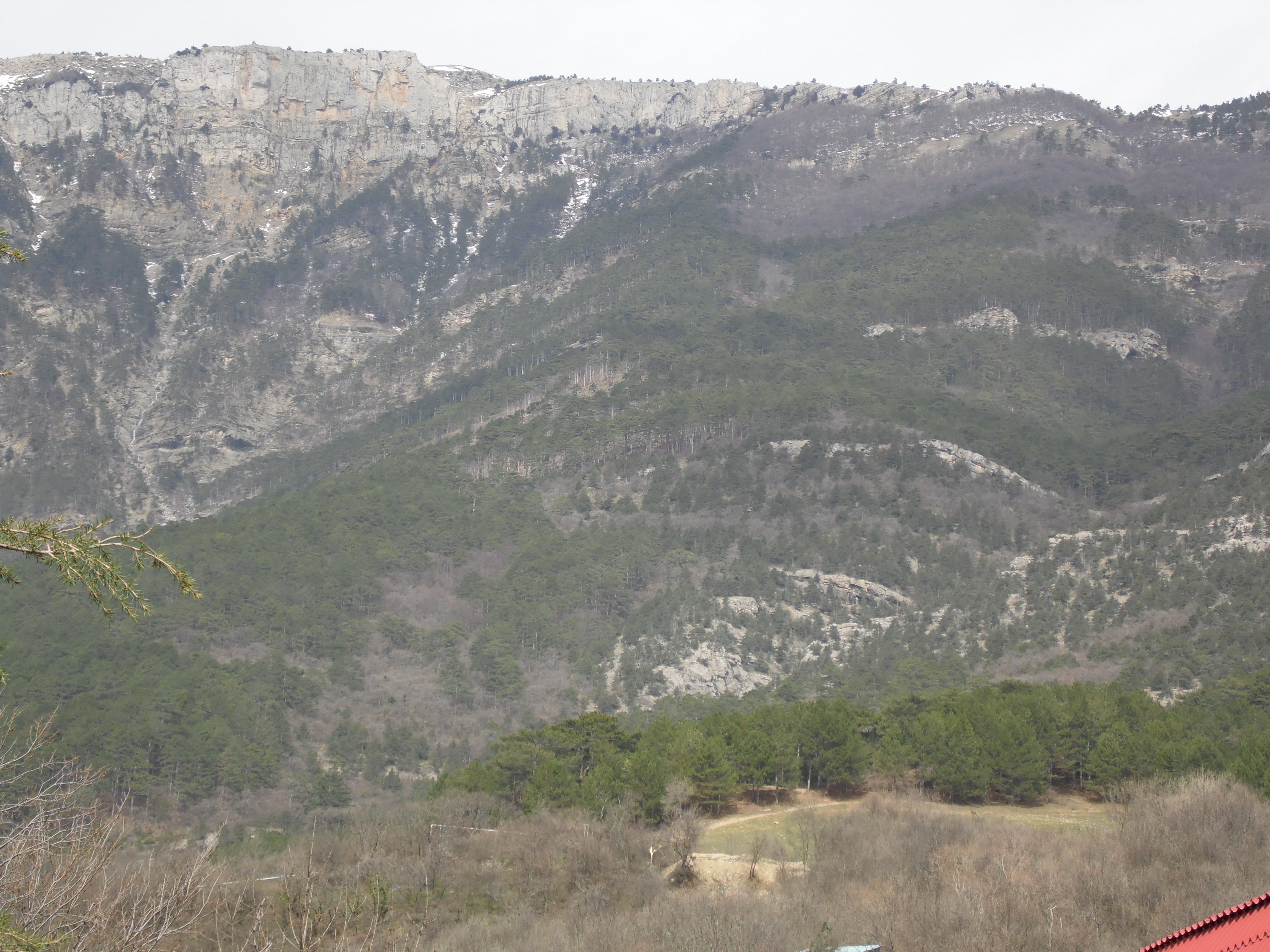 В ялтинских горах чудом выжила туристка, упавшая с горы