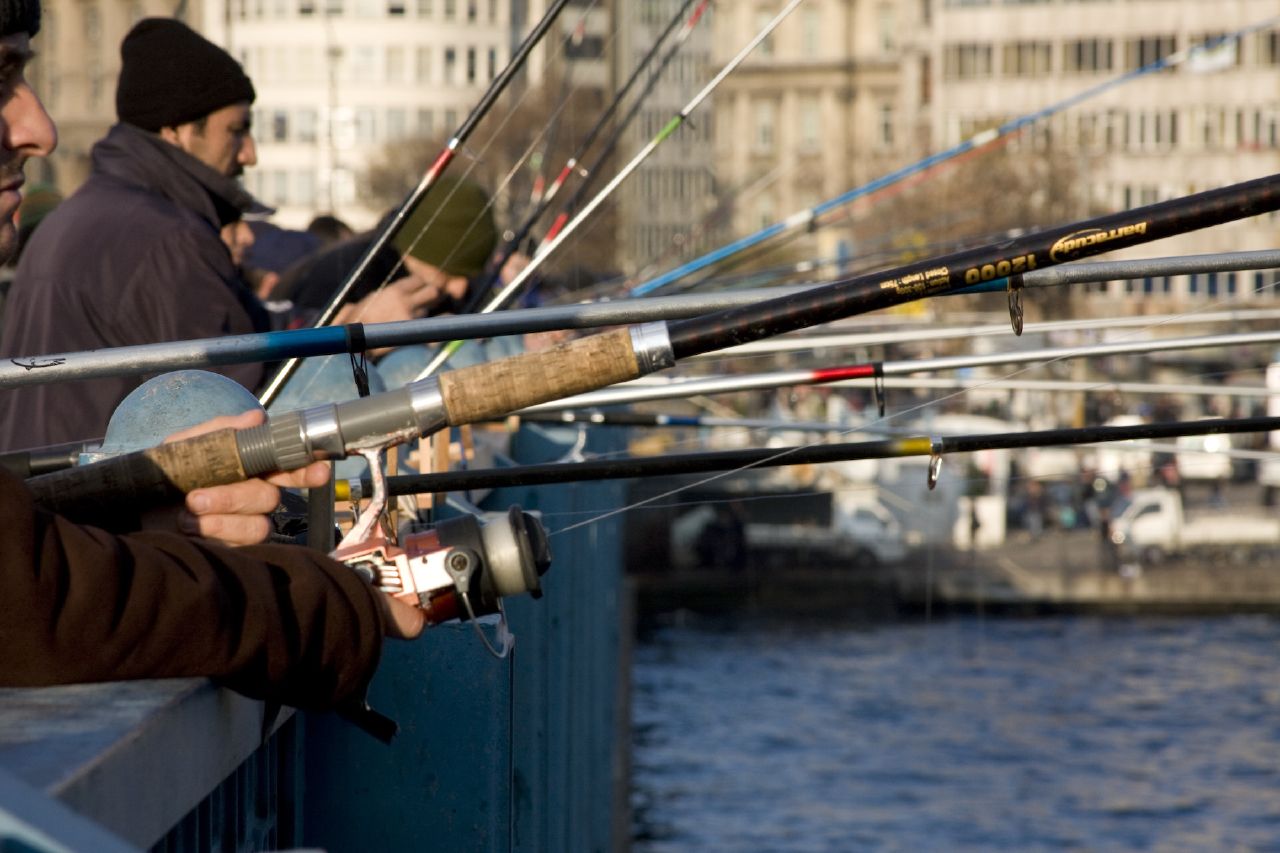 За ловлю рыбы на ялтинской набережной будут штрафовать