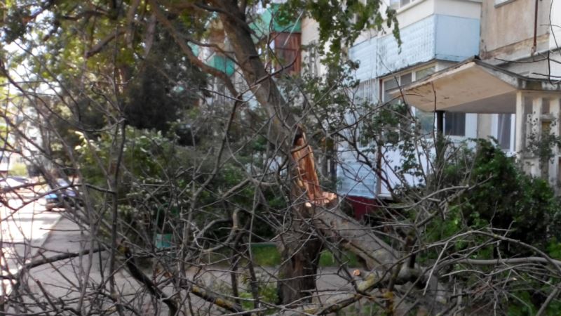 Крымские спасатели предупреждают о шквалистом ветре 24-25 декабря