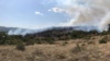 Эксперты пояснили, почему в Крыму стал чаще гореть лес