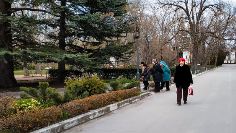 Крокусы, нарциссы и подснежники: парад первоцветов в ботаническом саду Симферополя (фотогалерея)