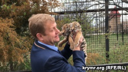 В крымском сафари-парке «Тайган» родились тигрята (+фото, видео)