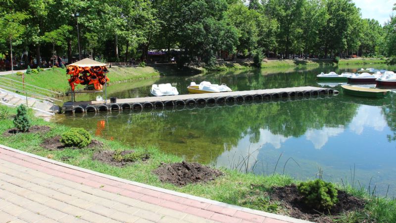Из парка в Симферополе украли декоративную аллею (+фото)