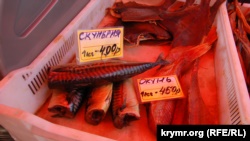 День рыбака в Севастополе отметили ярмаркой и ухой (+фото)