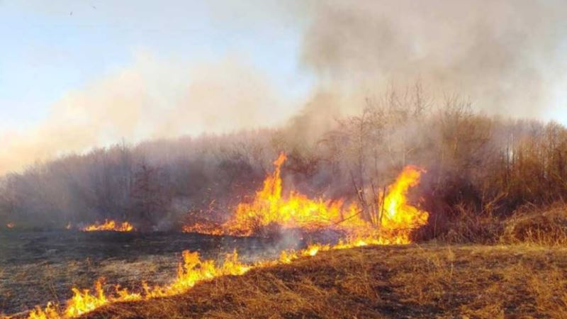 В Крыму за сутки произошло 20 возгораний сухой растительности – спасатели