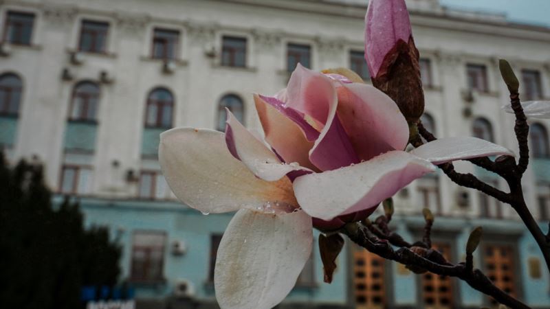 Неделя в Крыму начнется ливнями и градом – синоптики