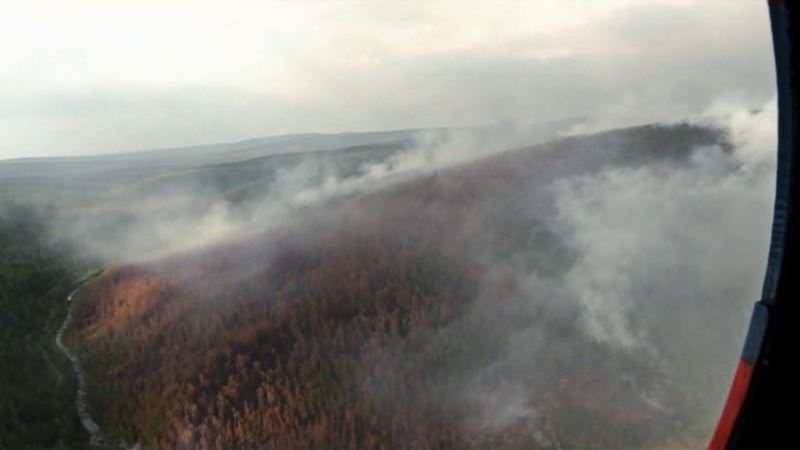 Минприроды России собирается сократить права губернаторов после лесных пожаров в Сибири