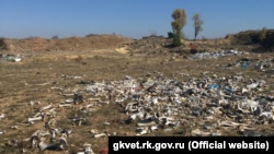 В Крыму нашли разбросанными почти две тонны костей животных (+фото)