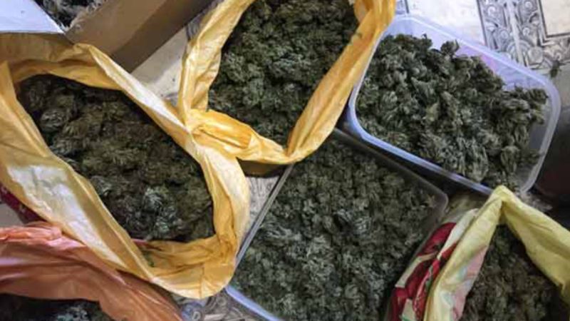 В Крыму российские полицейские нашли марихуану в багажнике автомобиля