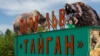 В Белогорске провели акцию против сноса букв «Парк львов «Тайган» (+фото)
