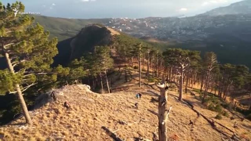 В заповедном лесу крымского Уч-Коша (видео)