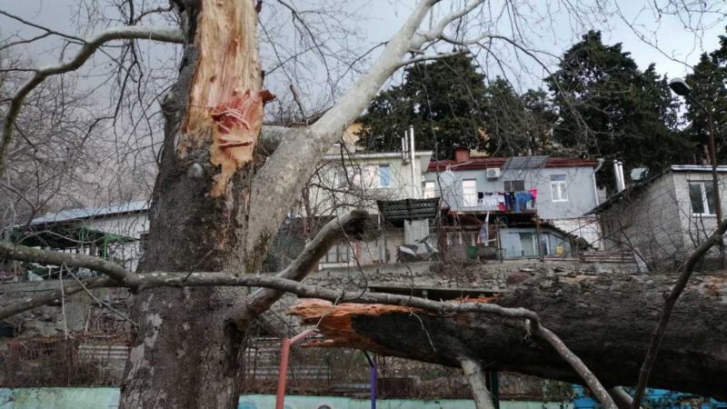 В Ялте ураган повалил деревья и праздничную иллюминацию (+фото)