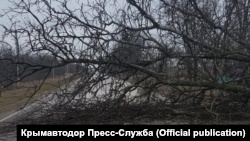 Ураганный ветер завалил крымские дороги деревьями (+фото)