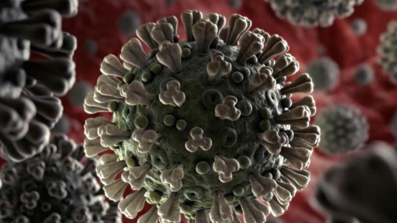 СНБО: наибольший риск от коронавируса – в возрастной группе за 80, наименьший – 10-39 лет