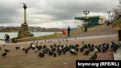Штормовая погода в Севастополе | Крымское фото дня