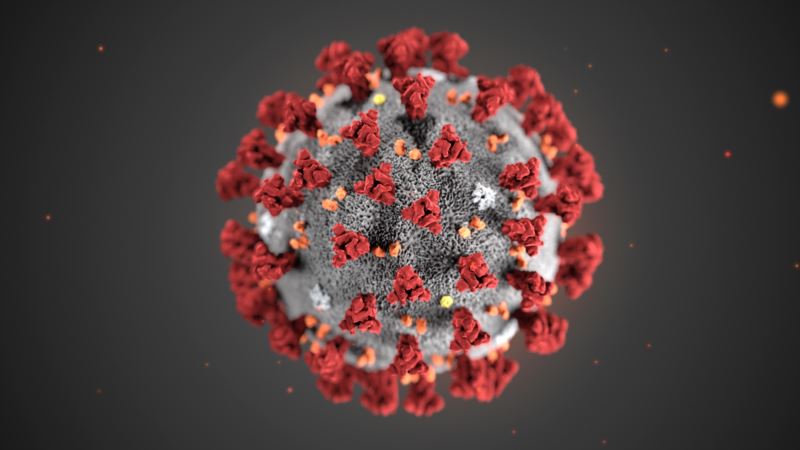 Испытания вакцины против «китайского» коронавируса могут начаться через три месяца