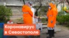 В Севастополе подорожал «борщевой набор», ожидается рост цен на продукты – власти