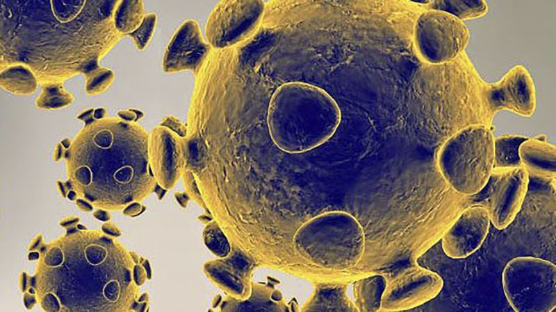 Число погибших от нового коронавируса в США возросло до шести