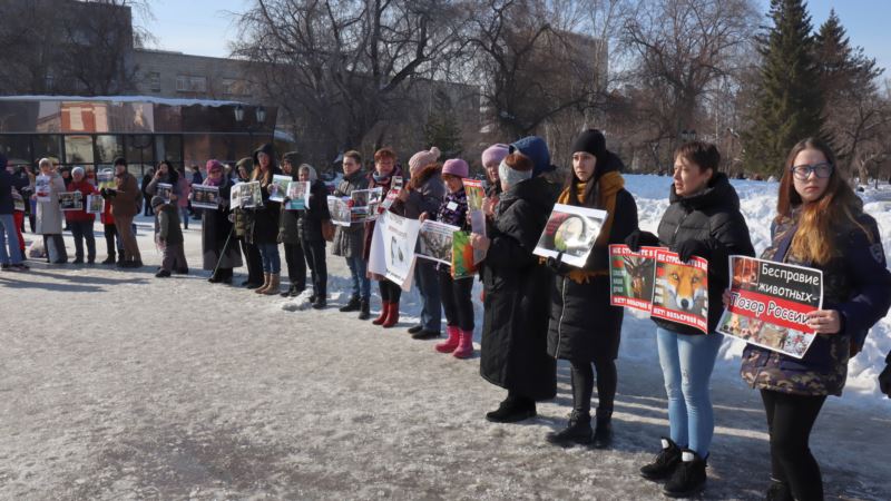 В России протестуют против закона о «вольерной охоте»