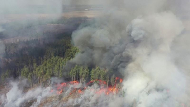 Спасатели продолжают тушить лесные пожары в Чернобыльской зоне
