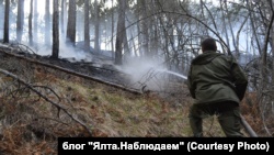 Очевидец о лесном пожаре под Ялтой: Сначала услышал хлопок, затем увидел пламя (+фото)