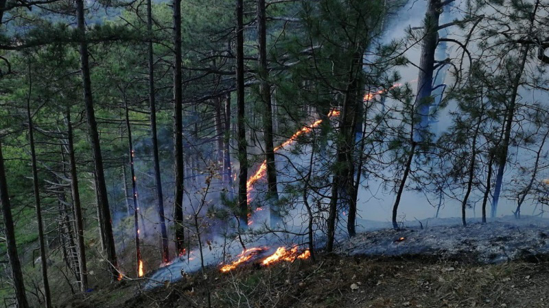 В Крыму за неделю число пожаров возросло почти в два раза