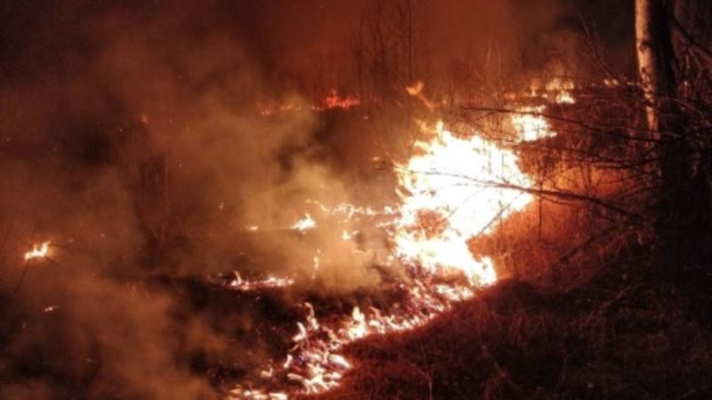 Эколог: из-за засухи в Крыму в пять раз участились пожары