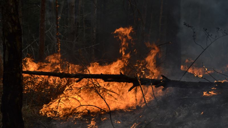 Спасатели предупреждают о чрезвычайной пожарной опасности в Крыму в понедельник