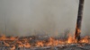 Тушение лесного пожара под Ялтой, 5 апреля 2020 года