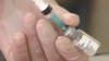 Казахстан и Россия договорились о поставках российской вакцины от коронавируса