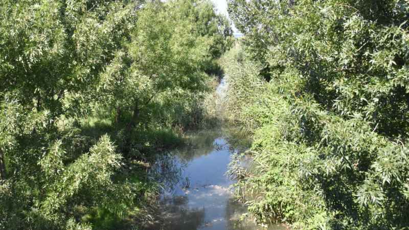 Дефицит воды на полуострове: севастопольцы обеспокоены состоянием реки Бельбек