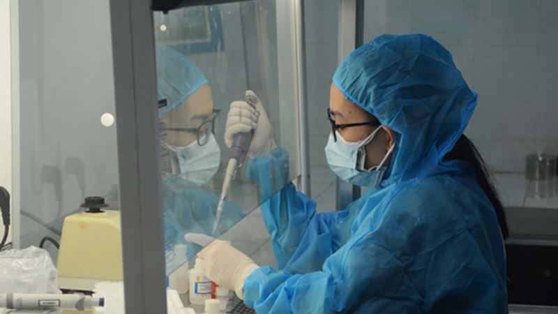 COVID-19 в Севастополе: с начала пандемии инфицирован 591 человек