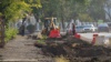 В ходе реконструкции улицы Льва Толстого в Севастополе срубили 256 деревьев и 222 кустарника 