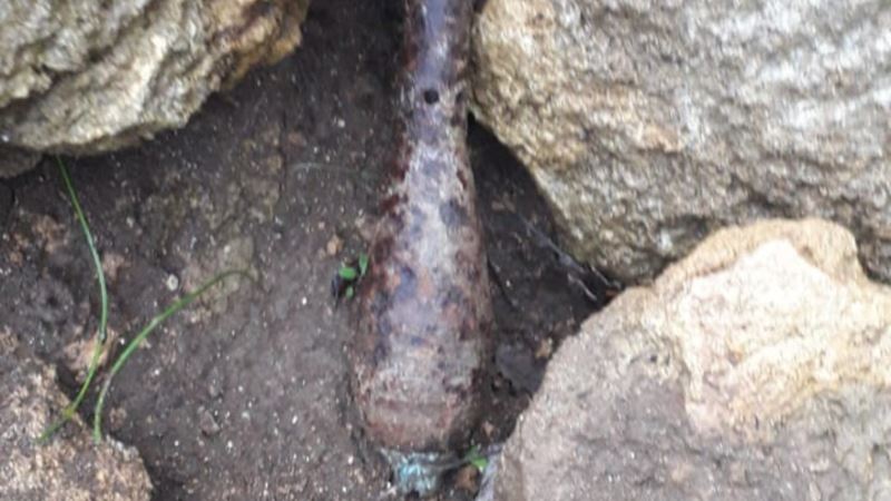 Севастополь: грибники нашли мину на боевом взводе
