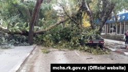 Из-за сильного ветра в Симферополе на машину обрушилось дерево – спасатели (+фото)