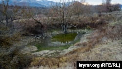 Пересохший водопад и обмелевшие «ванны молодости»: Кизил-Коба зимой (фотогалерея)