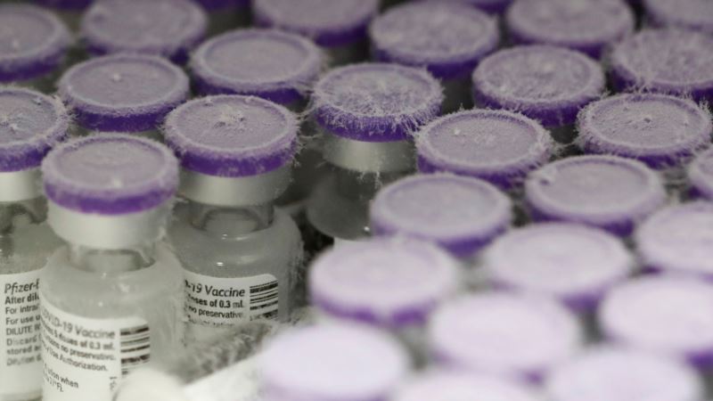 Pfizer решил временно сократить производство вакцины вдвое