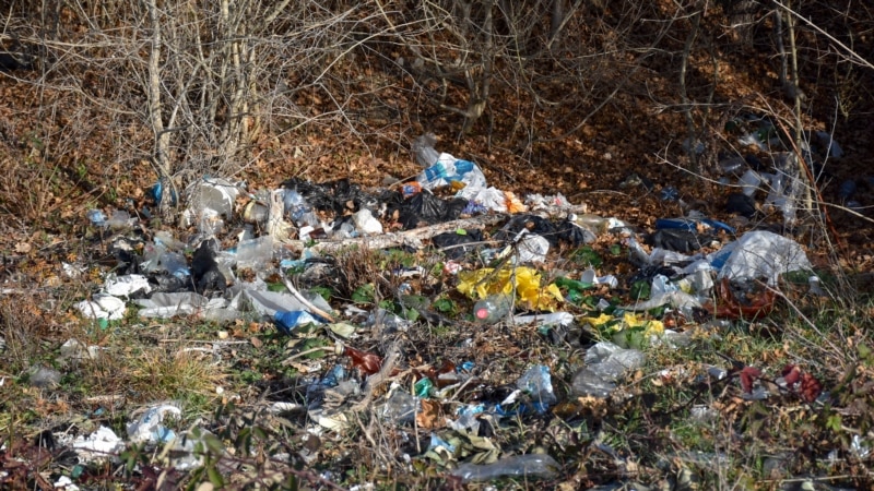 В лесах Крыма обнаружили 43 свалки мусора за неделю – власти