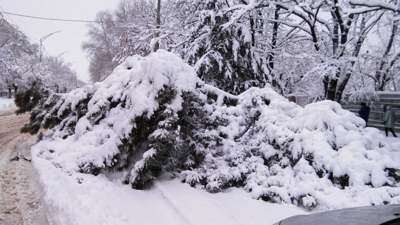 В Керчи выпало полметра снега – глава города