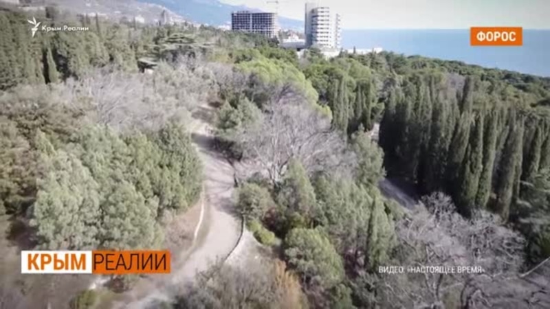 В Форосе уничтожают парк: столетние деревья идут под бульдозер | Крым.Реалии ТВ (видео)